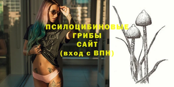 твердый Козловка