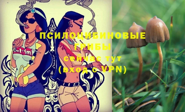 mix Кодинск