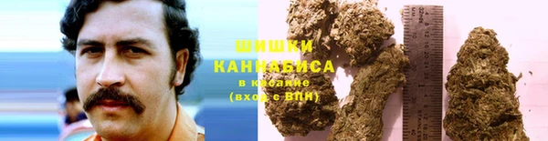 твердый Козловка