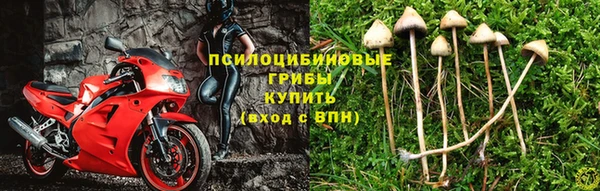 mix Кодинск