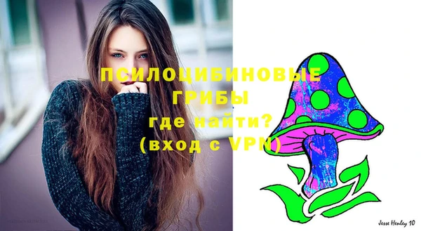 mix Кодинск