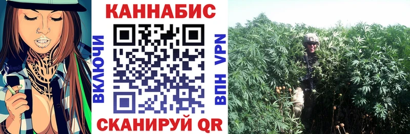 Купить закладки  Жуков  Канабис конопля 